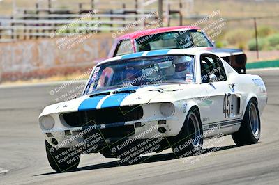 media/May-11-2025-Cobra Club (Sun) [[44ca44ec33]]/Passenger/